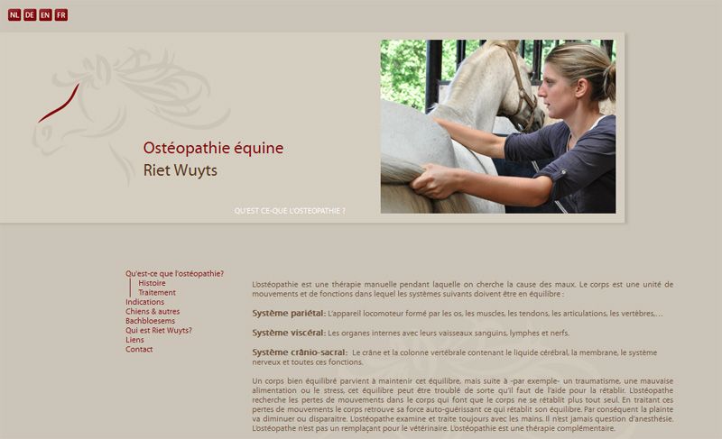paardenosteopathie-grand.jpg